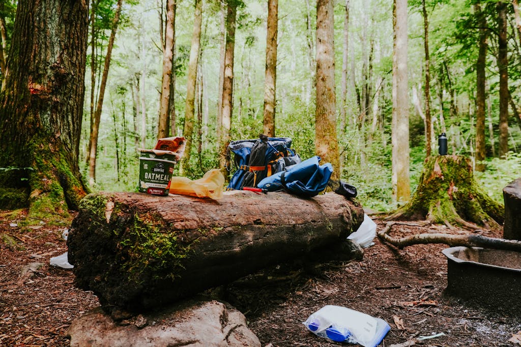 A cozy camping setup in a forest with backpacks and food supplies on a tree log.